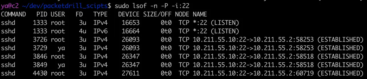 e1db2c8693c28cabae9c629133f4a5c2